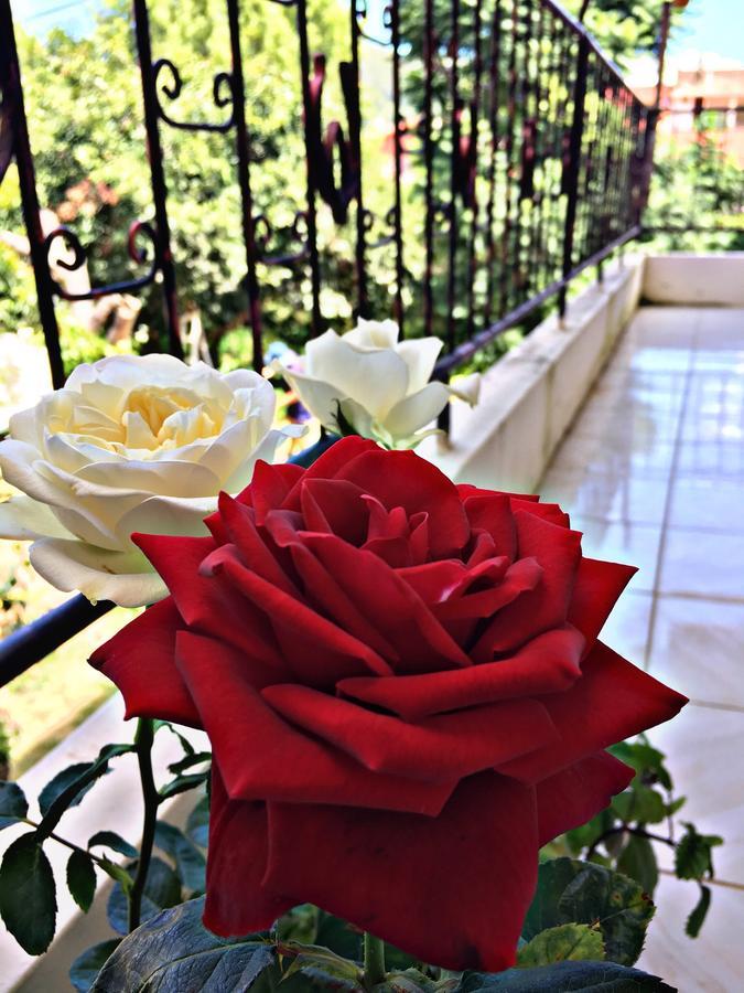Hotel Samaipata Luaran gambar